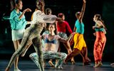 A group of dancers in colorful, modern costumes perform expressive movements on stage against a dark background, showcasing contemporary dance.
