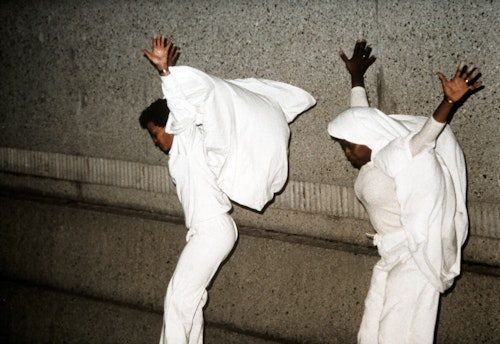 Living Collections Catalogue