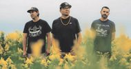 Three men stand in a field of tall yellow wildflowers under a cloudy sky, each wearing casual shirts and caps, with a calm and contemplative expression.