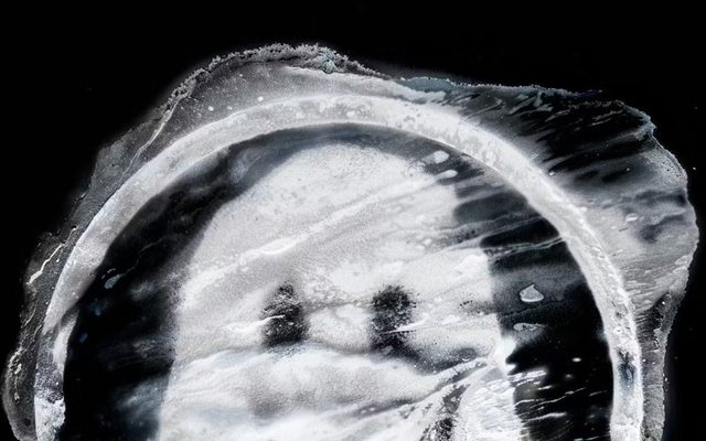 2026<br>Michael Cina (Cina Associates/Ghostly)