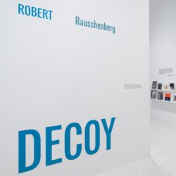 Trisha Brown and Robert Rauschenberg: Glacial Decoy